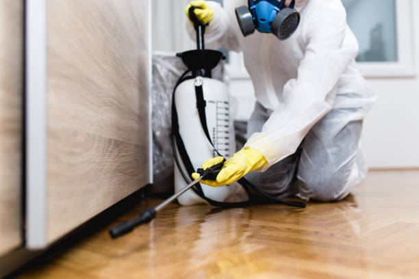 Flea Control Services in Kenvil, NJ