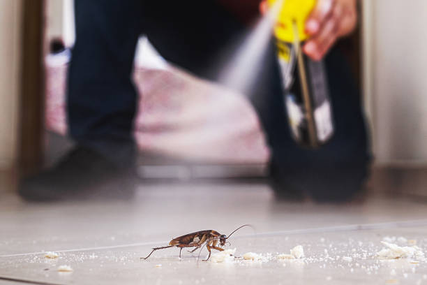 Best Exterminator Services  in Kenvil, NJ