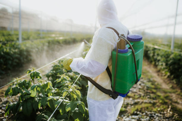 Best Ant Control Services  in Kenvil, NJ